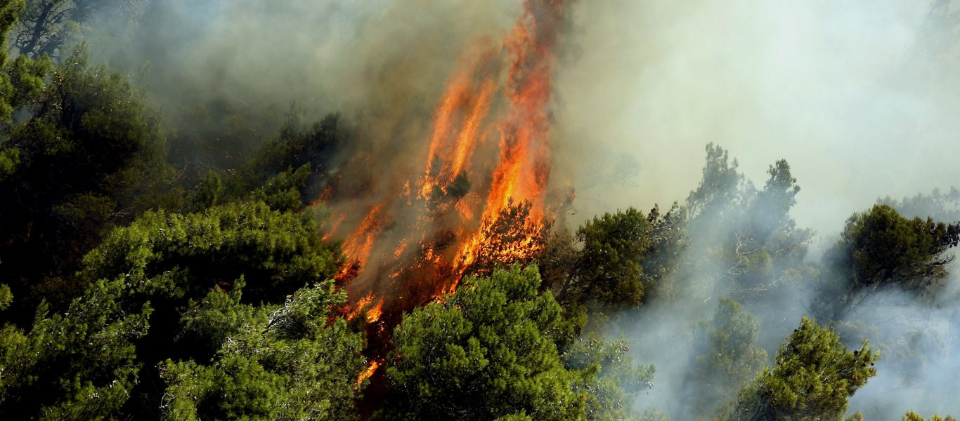 Μεγάλη φωτιά εκδηλώθηκε σε δασική έκταση της Κέρκυρας